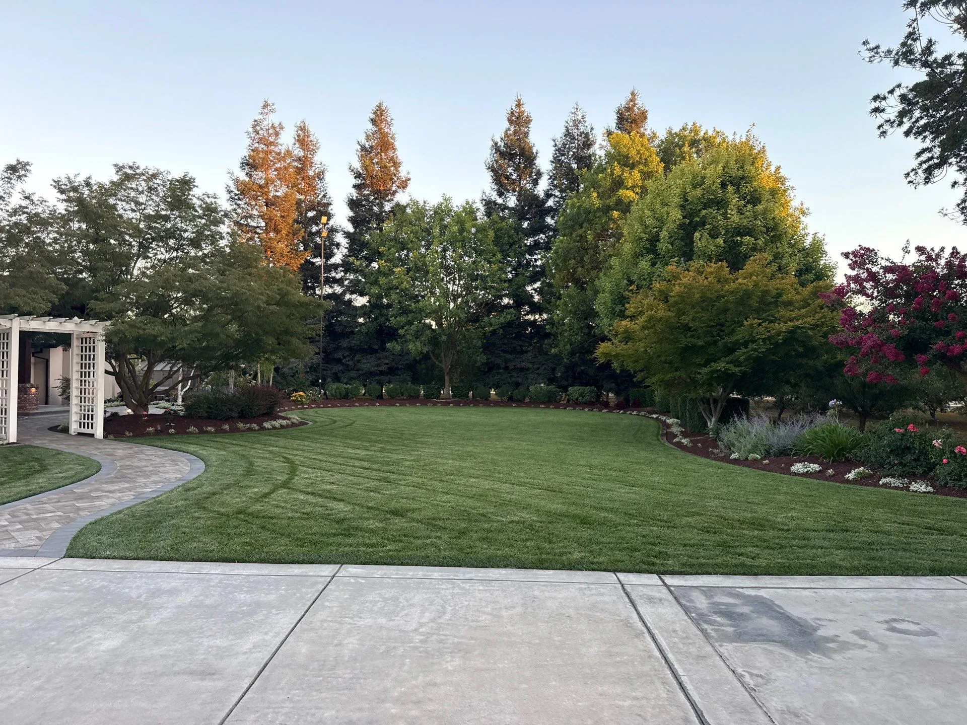 Backyard lawn with a curved paver walkway