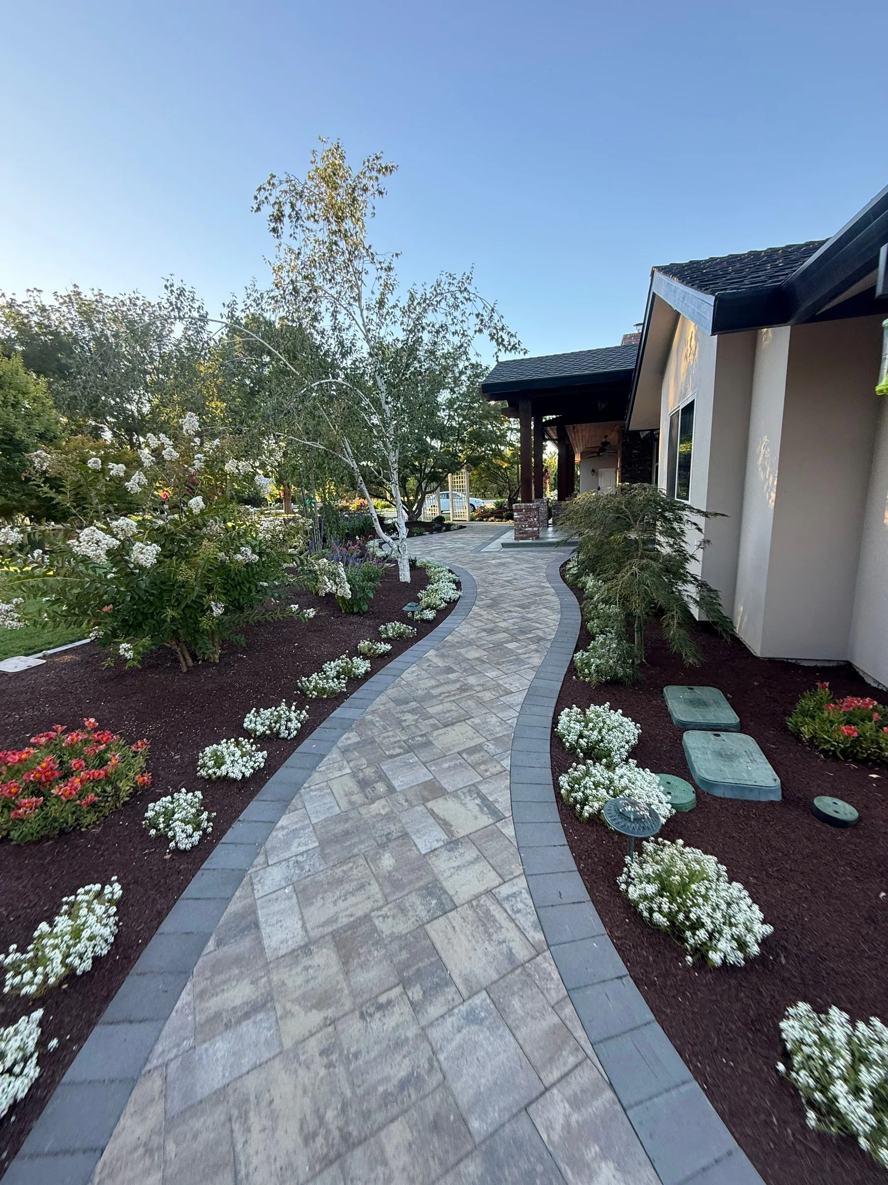 Curved paver walkway bordered by ornamental plants along the side of a home