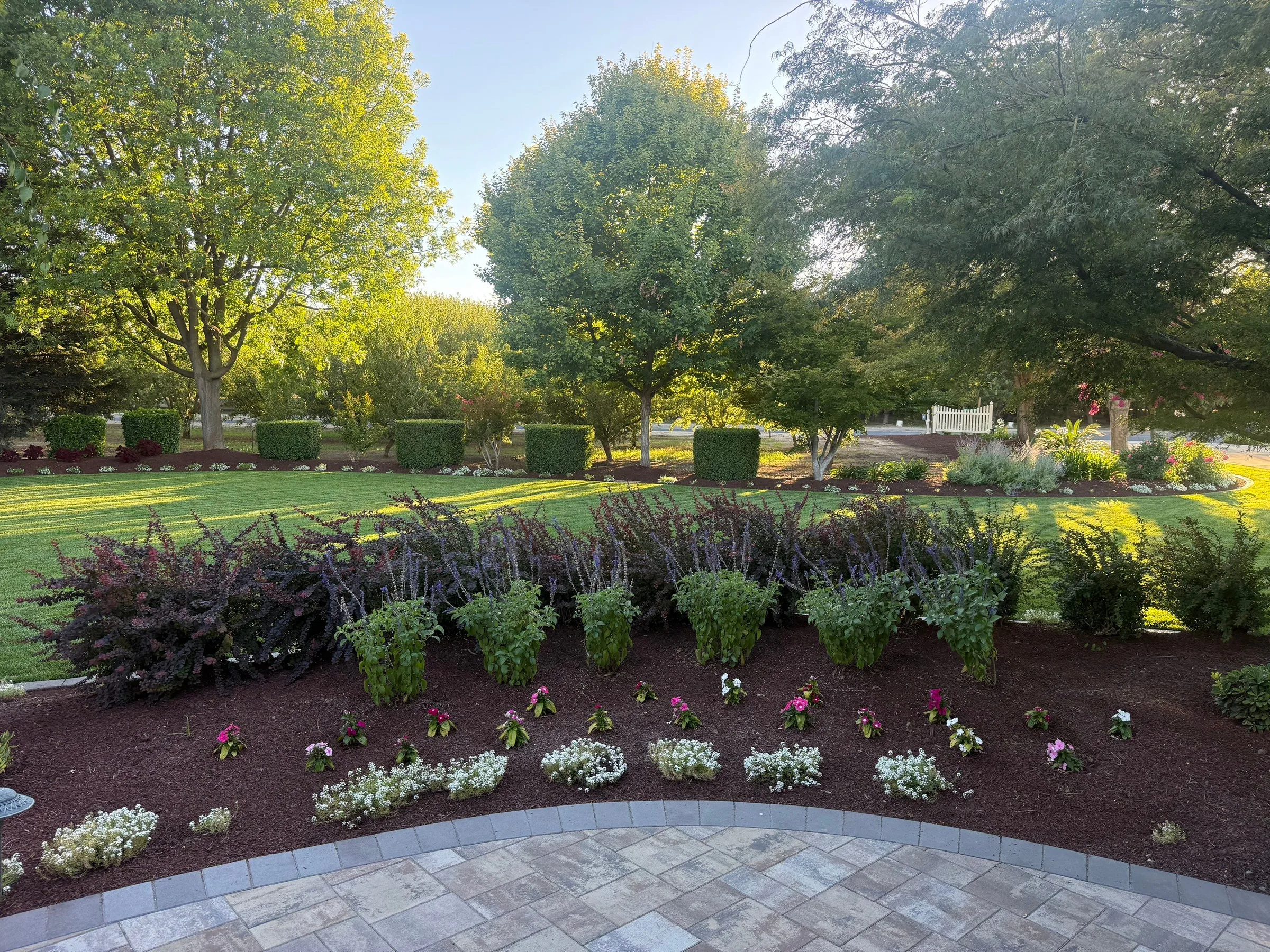 Mulched planting bed with layered shrubs beside a green lawn