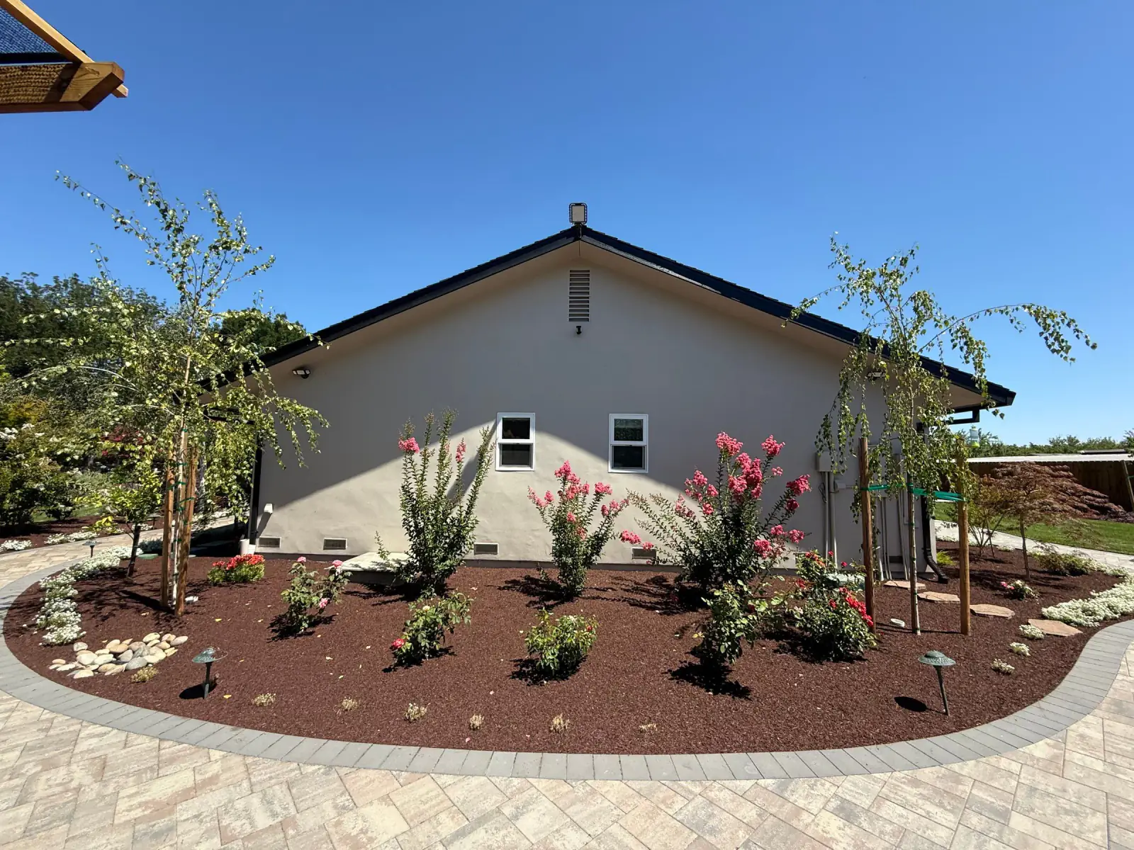 Newly installed landscape beds with young trees, shrubs, and a curved paver border