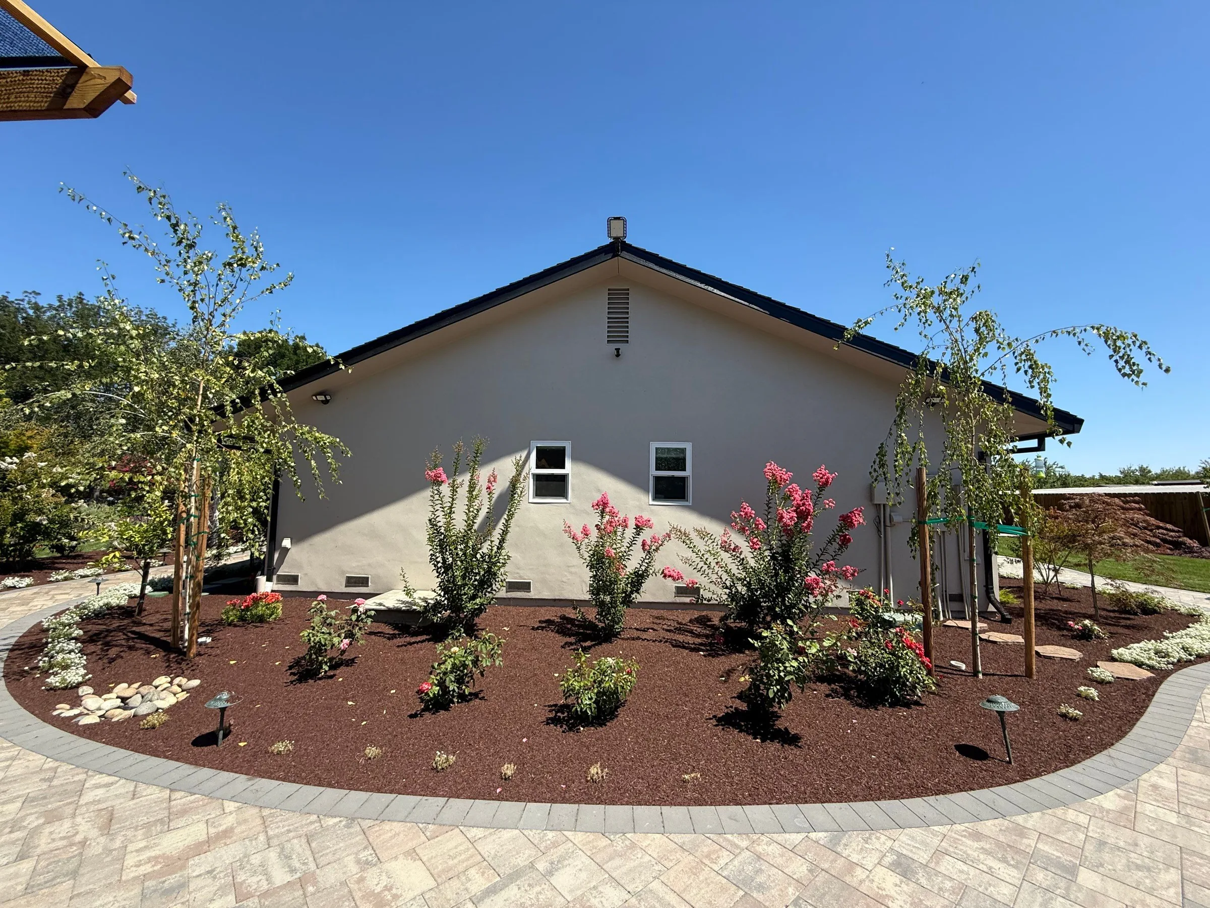 Newly installed landscape beds with young trees, shrubs, and a curved paver border