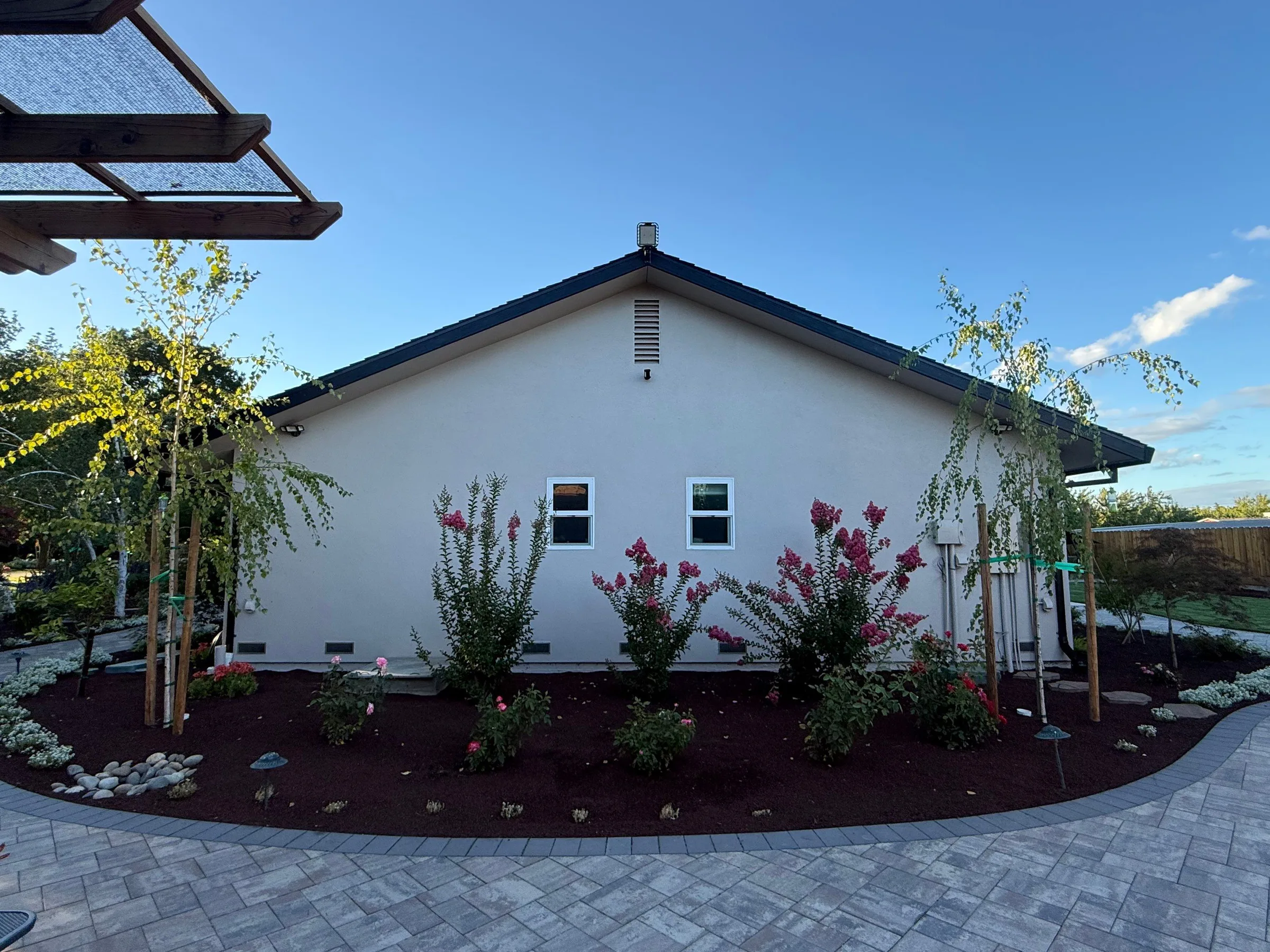 Paver patio edge framing new trees, shrubs, and a mulched side-yard landscape bed